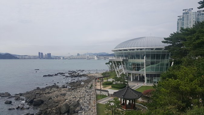 Busan city tour from Seoul by KTX bullet train - Price and logistics: what your $415 covers