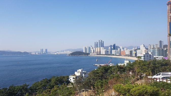 Busan city tour from Seoul by KTX bullet train - Dongbaekseom and the Camellias of March
