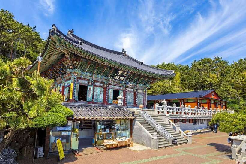 Busan: Coastal Treasures Beach Train, Culture Village & More - Who this tour fits best (and who should think twice)