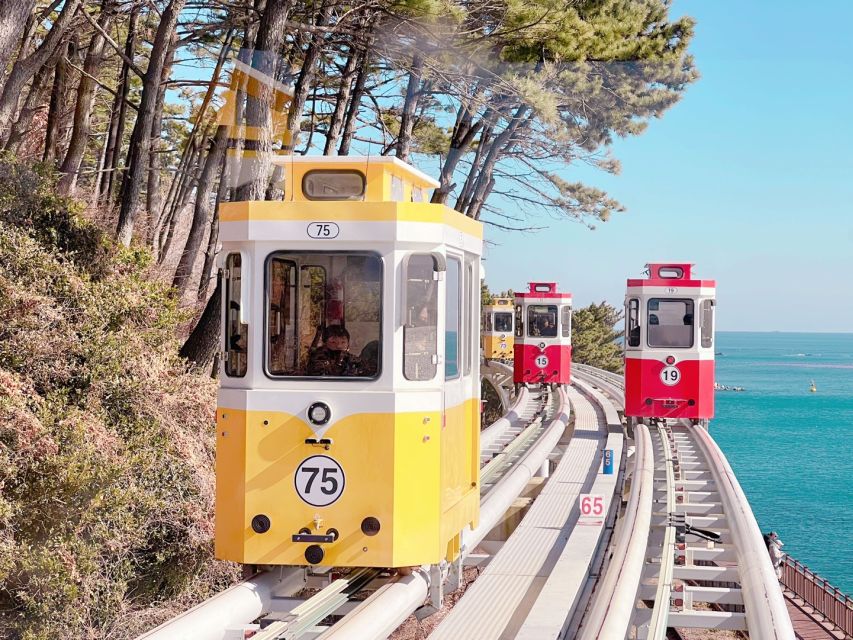 Busan: Coastal Wonders & Cultural Gems Tour opt. Sky Capsule - Busan Timing: Why This Feels Efficient Even When It’s a Full Day