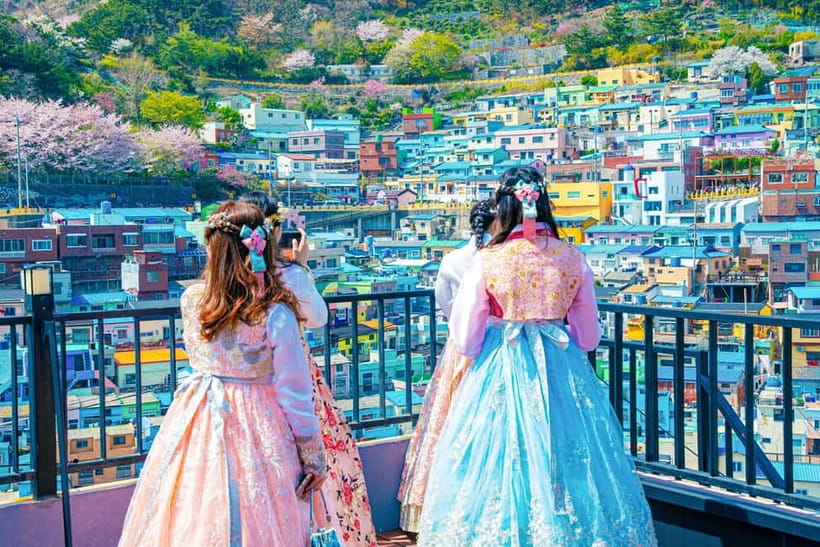 Busan: Coastal Wonders & Cultural Gems Tour opt. Sky Capsule - What It Costs, and Whether It’s Good Value