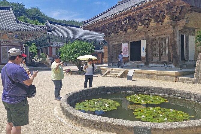 Busan Comfortable Private Tour For 4hours - Comfort, communication, and the kind of guiding that makes markets easier