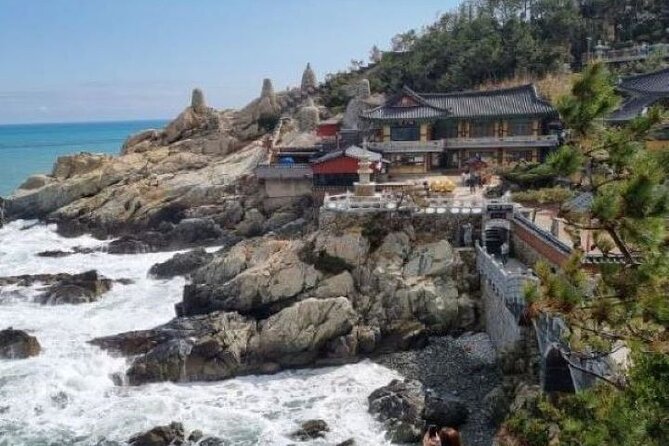 Busan CUSTOMIZED Tour for PRIVATE GROUP CRUISE PASSENGERS - Dalmaji-gil Road, Haeundae Beach, and Dongbaekseom: the seaside triple that looks like postcards
