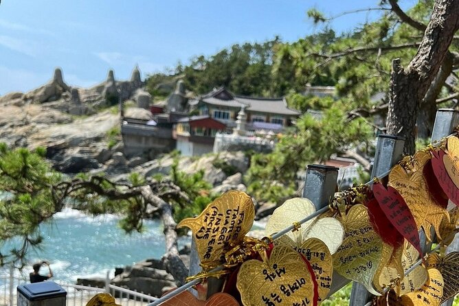 Busan Day Trip from Seoul by KTX - Private Tour with Local Guide - Samik Beach Apartments Cherry Blossom Road: The Best Photo Stop Has a Deadline