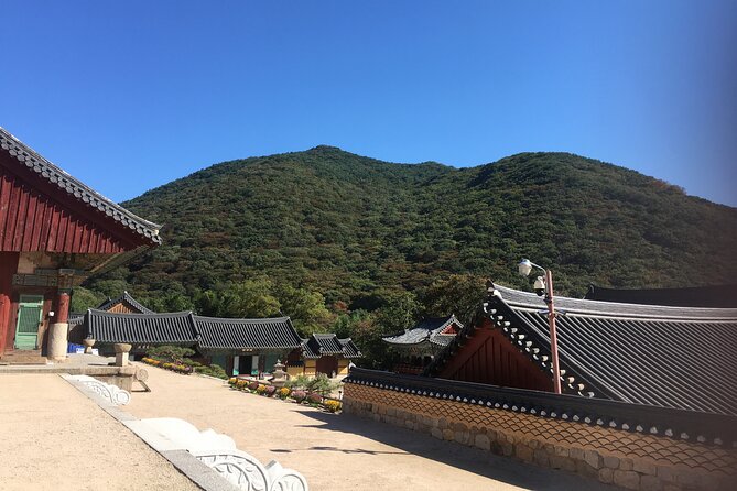 Busan day trip including Gamcheon culture village from Seoul by KTX train - Lunch, WiFi, and air-conditioned comfort in an 8-hour rush