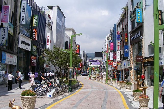 Busan day trip including Gamcheon culture village from Seoul by KTX train - Price and value: what you are paying for at $454 per person
