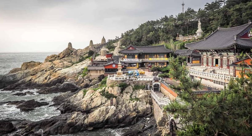 Busan: Day Trip with Gamcheon Culture Village and Sky Walk - Key things that make this tour feel premium