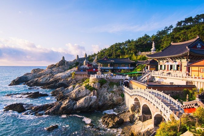 Busan: Fully Customizable Private Tour - Key Things I’d Book This For