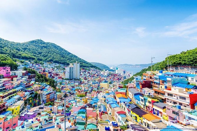 Busan: Fully Customizable Private Tour - Best Fit: Who This Busan Private Tour Suits Best