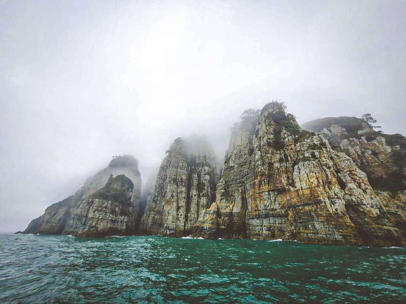 Busan: Geoje Coastal Escape, Sea Breeze, Oedo Botania Island - Oedo Botania Island plus the cable car: flowers, sea cliffs, and time to roam