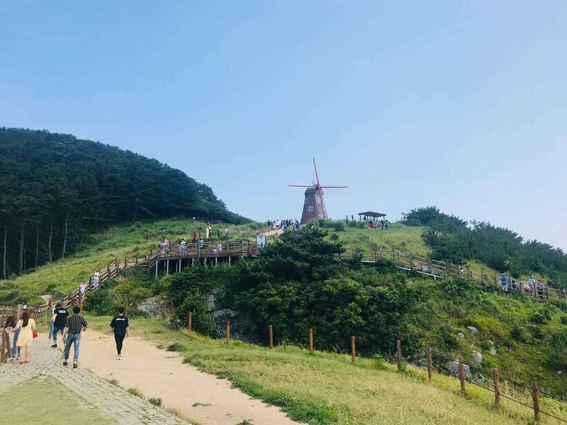 Busan: Geoje Coastal Escape, Sea Breeze, Oedo Botania Island - Second Windy Hill photo loop: use it for golden light and slower pace