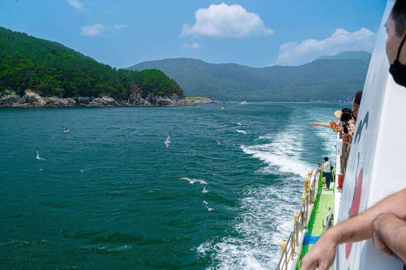 Busan: Geoje Coastal Escape, Sea Breeze, Oedo Botania Island - Price and value: $95 for 10 hours, what you get (and what you pay for yourself)