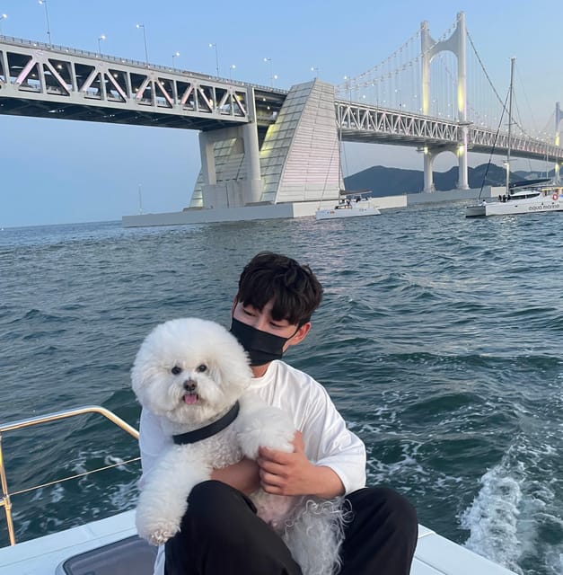 Busan: Group Sightseeing Yacht Cruise with Snacks and Drinks - Key takeaways before you board