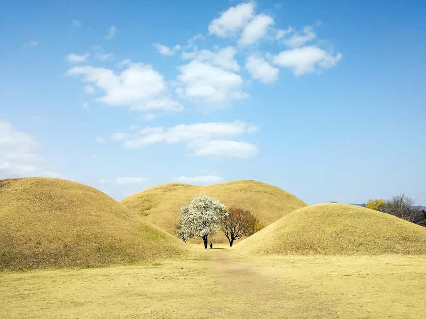 Busan + Gyeongju One Day Tour from Busan - Cheongsapo and the Haeundae Blue Line Park area: sea, train views, and that famous combo photo