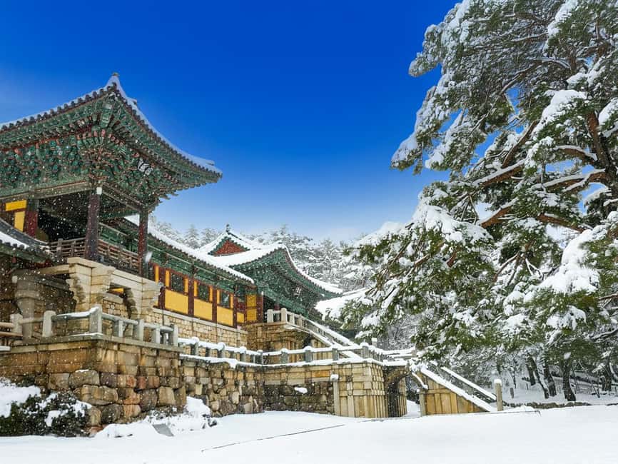 Busan: Gyeongju UNESCO Legacy Tour with National Museum - Key highlights I’d plan around