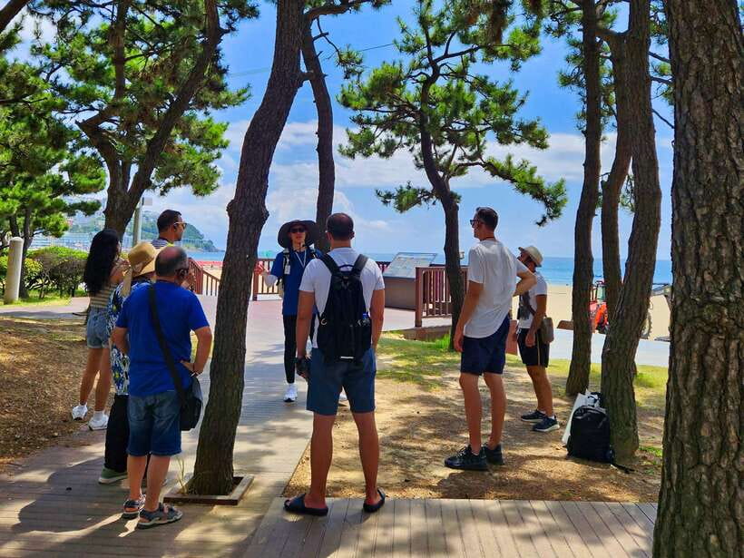 Busan: Haeundae 100-Minute Walking Tour - Meet Your Guide at Old Haeundae Station (And Get Your Bearings Fast)