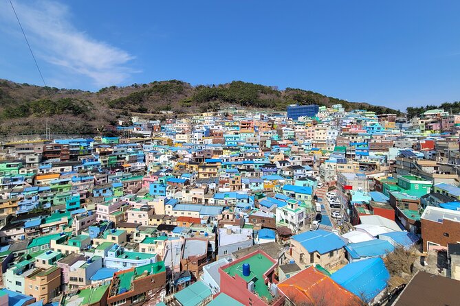 Busan Half-Day Customizable Private Tour in English - Quick Takeaways