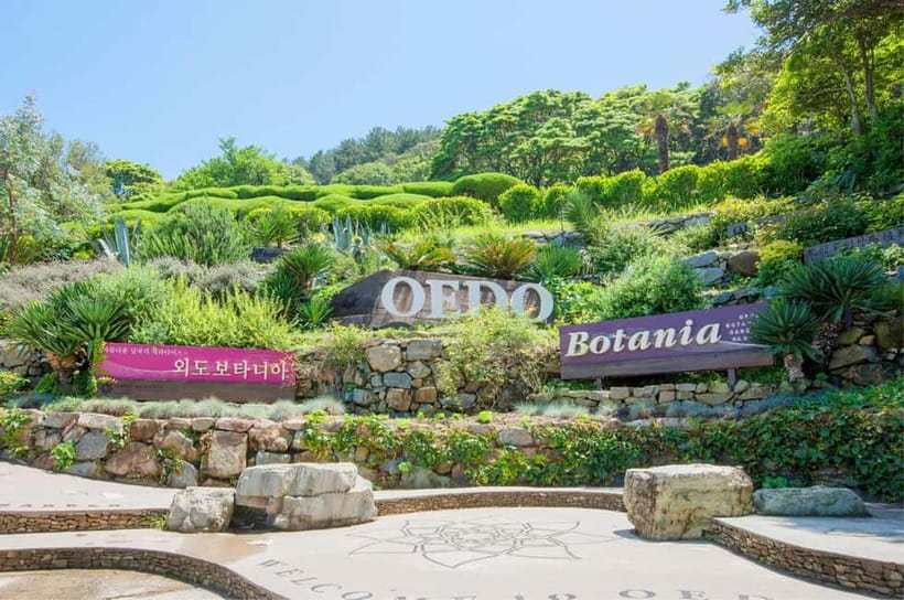 Busan: Hidden Gem Geoje & Oedo Botania Island & Cable car - Geoje and Oedo: why this day trip feels special