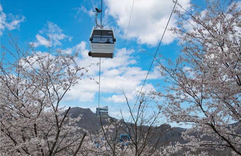 Busan: Hidden Gem Geoje & Oedo Botania Island & Cable car - Geoje Panorama Cable Car: 580 m above sea level