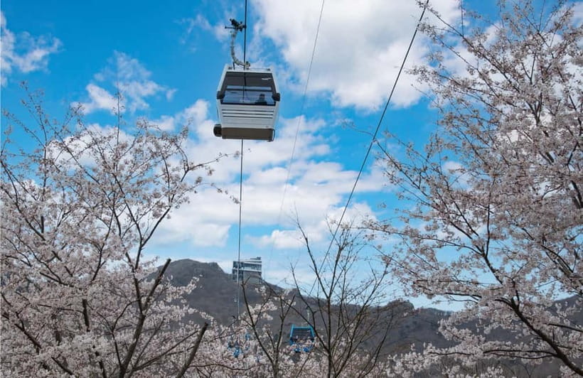 Busan: Hidden Gem Geoje & Oedo Botania Island & Cable car - Pickup and the long-coast start: from Busan to ferry time