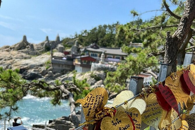 Busan Hidden Gems Private Tour and Car Service - Who this tour suits best (and who might want to think twice)