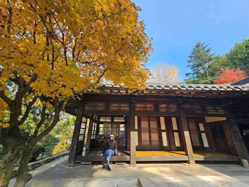 Busan: Hidden Gems Private Tour with a Certified Guide - Bupyeong Kkangtong Market: food tasting plus the story behind 1910