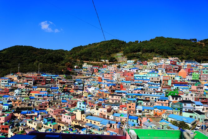 Busan Highlights Shore Tour – Cruise Return Assured - Port pickup that actually helps: building the day around your ship