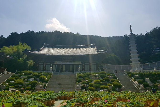 Busan Highlights Shore Tour – Cruise Return Assured - BIFF Square and central Busan: a quick taste of the modern city