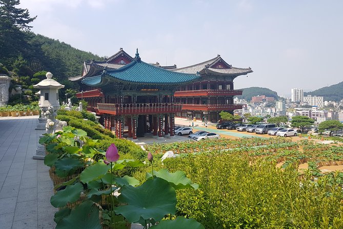 Busan Highlights Shore Tour – Cruise Return Assured - Hwangnyeongsan Mountain Observatory: Busan from above