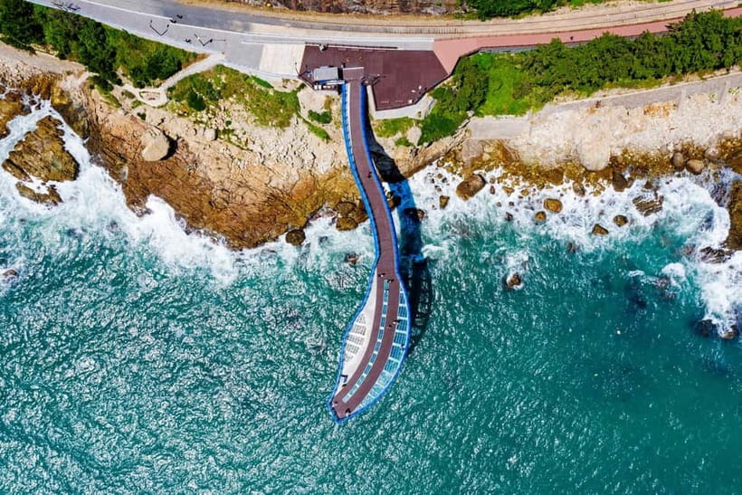 Busan: Max Out City Highlights Full-Day Tour - Lunch at Your Own Expense: Plan It Like a Local Break