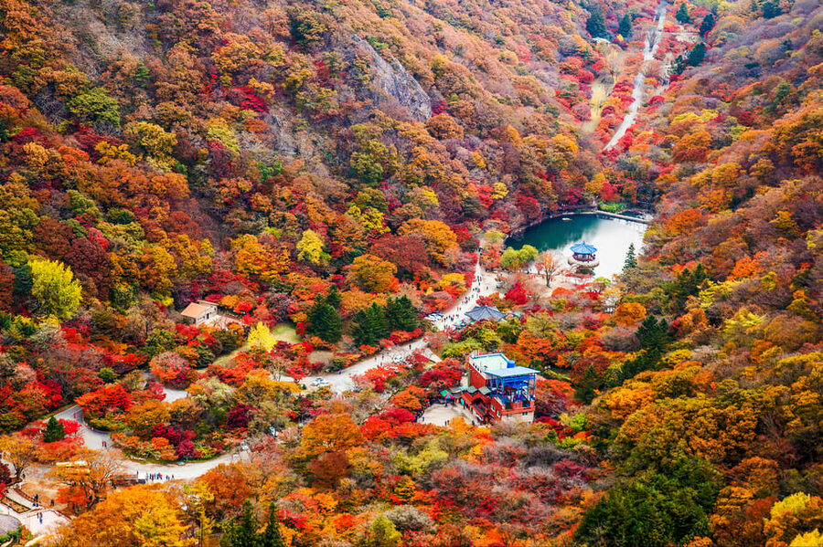 Busan: Naejangsan National Park Autumn Foliage One Day Tour - Key Points to Know Before You Go