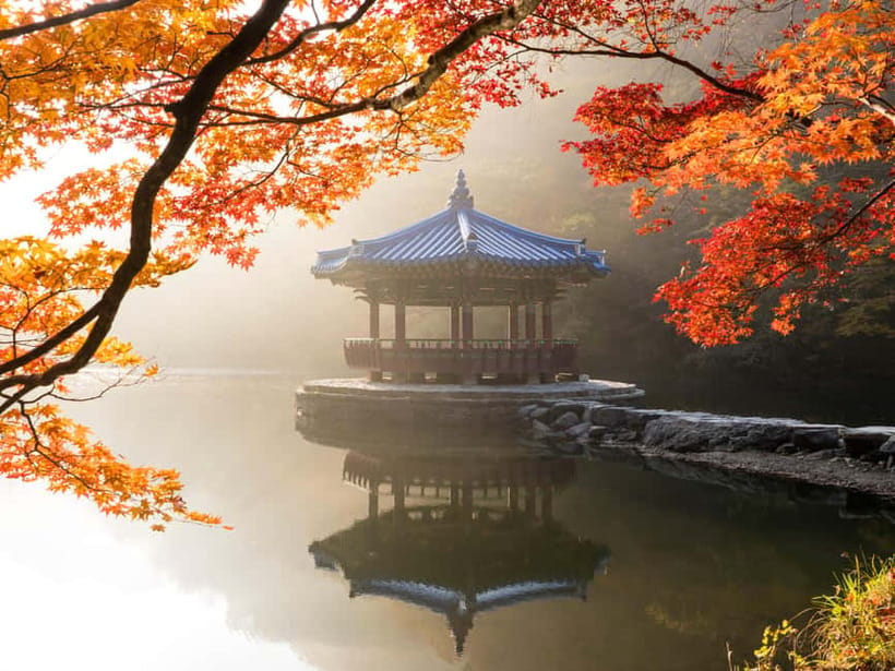 Busan: Naejangsan National Park Autumn Foliage One Day Tour - Getting Into Naejangsan National Park by Shuttle
