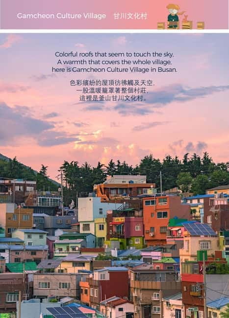Busan Night Tour & Optional Snapshots - Key points you should know before you go
