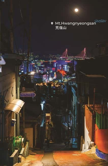 Busan Night Tour & Optional Snapshots - Price and value: is $25 a good deal for a photo tour?