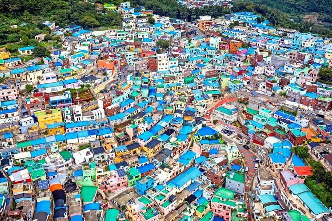 Busan Private Guide Tour : Enjoy customized tour only for you! - Price and value check for a private group of up to 7