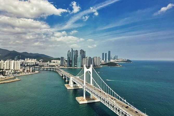 Busan Private Guide Tour : Enjoy customized tour only for you! - Taejongdae Resort Park and the food markets that define Busan