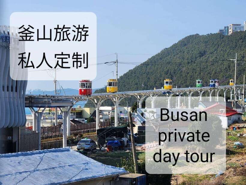 Busan private tour - Cheongsapo Daritdol Observatory, the day’s first big view
