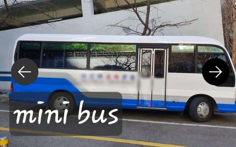 Busan private tour - Blue Line Park, coastal sights plus the optional skycapsule