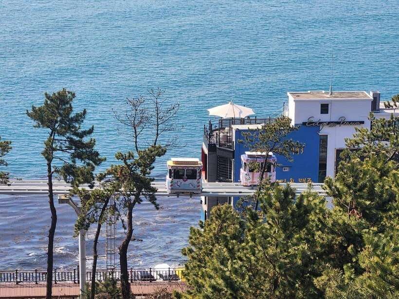 Busan private tour - Haedong Yonggungsa Temple, where the coast meets the temple