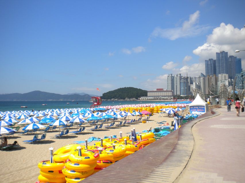 Busan Private Tour with a Local - Key takeaways before you book