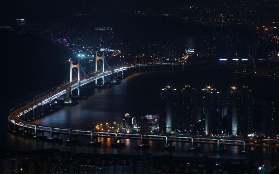 Busan Private Tour with a Local - Food and shopping tips you can actually use after the walk