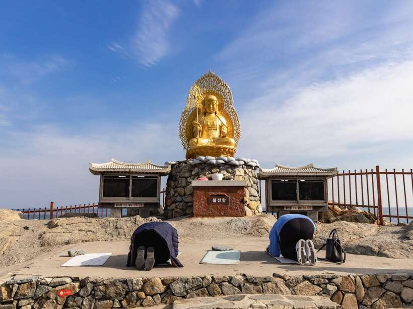 Busan's Best: Sea Temples, Yacht Tour & Sky Capsule Day Tour - Price and value: is $89 a good deal?
