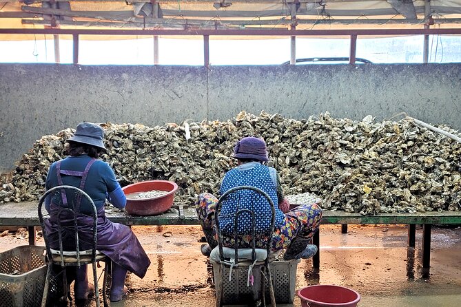 Busan Seafood Tour : Oyster village Tour with Oyster cuisines - Lunch that actually teaches you something