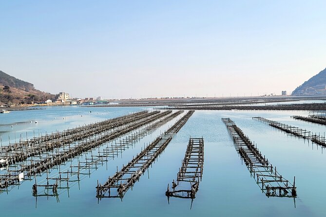 Busan Seafood Tour : Oyster village Tour with Oyster cuisines - When to go: the Nov to Feb seasonal window