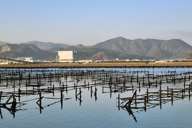 Busan Seafood Tour : Oyster village Tour with Oyster cuisines - Price and value: is $180 worth it?