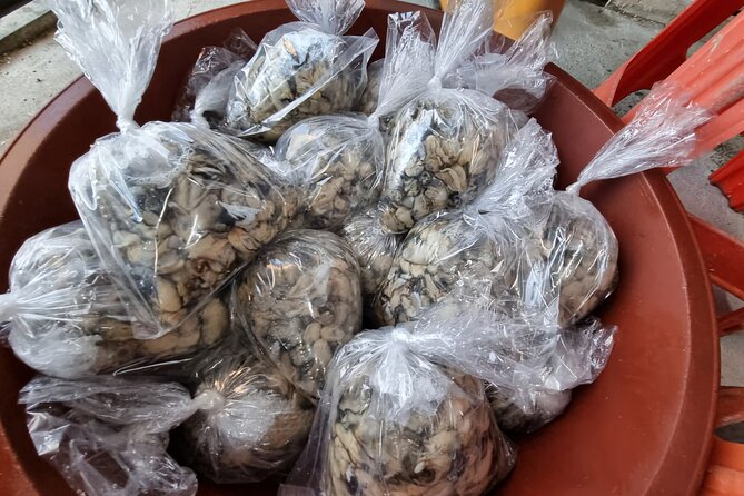 Busan Seafood Tour : Oyster village Tour with Oyster cuisines - Who this tour suits best (and who should skip it)