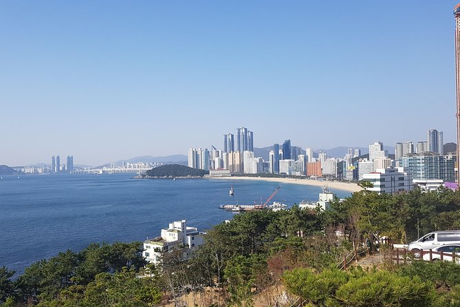 Busan Shore Excursion; Private City Tour - Key highlights you will feel right away