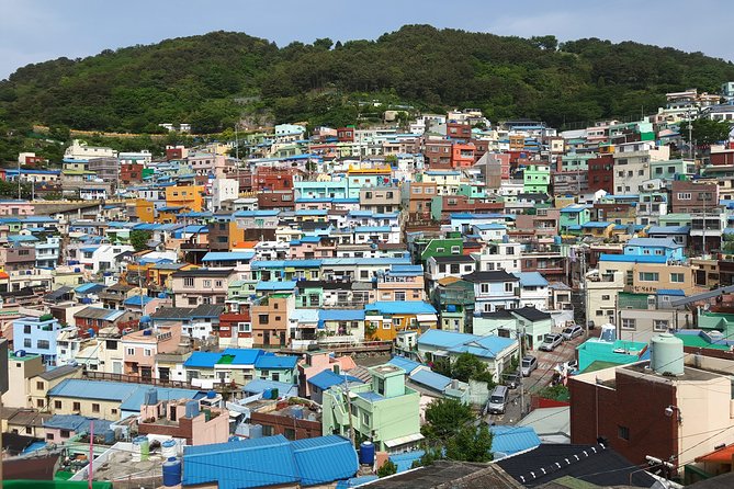 Busan Shore Excursion; Private City Tour - Food and timing: what to plan since meals are not included