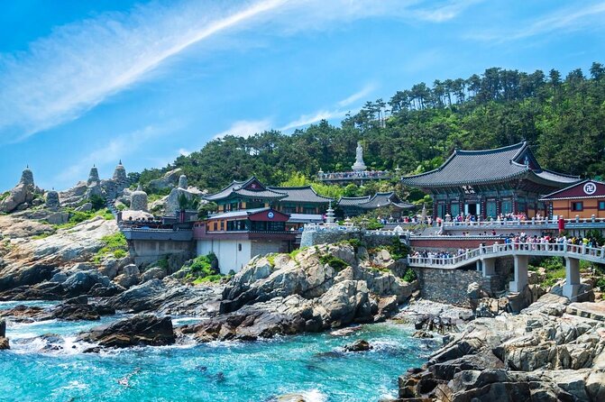 Busan Small Group Photo Tour (Max 6 Pax) - Key highlights that make this photo tour work