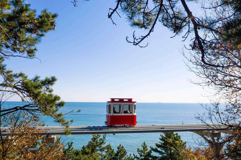 Busan: Sunset Haeundae Sky Capsule & Busan Night view Tour - What makes the guides and organization matter here